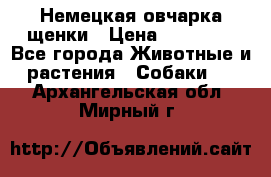 Немецкая овчарка щенки › Цена ­ 20 000 - Все города Животные и растения » Собаки   . Архангельская обл.,Мирный г.